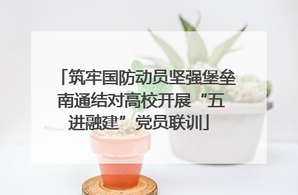 筑牢国防动员坚强堡垒 南通结对高校开展“五进融建”党员联训