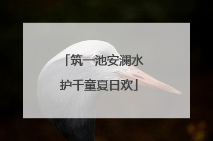 筑一池安澜水 护千童夏日欢