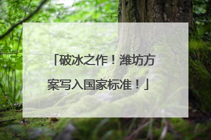 破冰之作！潍坊方案写入国家标准！