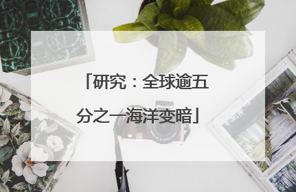 研究：全球逾五分之一海洋变暗
