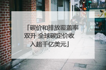 碳价和排放覆盖率双升 全球碳定价收入超千亿美元