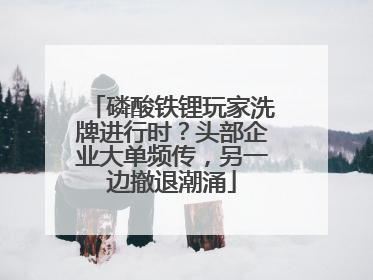 磷酸铁锂玩家洗牌进行时？头部企业大单频传，另一边撤退潮涌