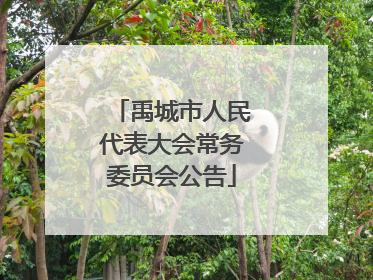 禹城市人民代表大会常务委员会公告