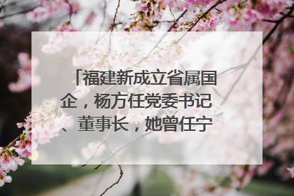 福建新成立省属国企，杨方任党委书记、董事长，她曾任宁德市委副书记｜张田怡已任县委副书记、县政府党组书记