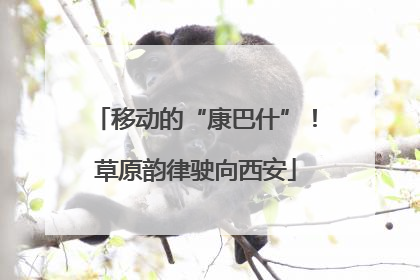 移动的“康巴什”！草原韵律驶向西安