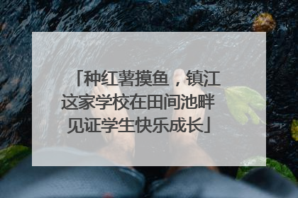 种红薯摸鱼，镇江这家学校在田间池畔见证学生快乐成长