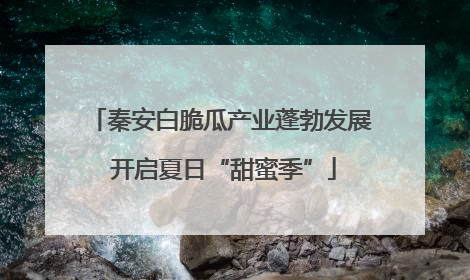 秦安白脆瓜产业蓬勃发展 开启夏日“甜蜜季”