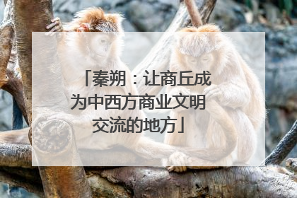秦朔：让商丘成为中西方商业文明交流的地方
