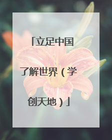 立足中国 了解世界（学创天地）