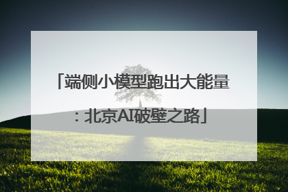 端侧小模型跑出大能量：北京AI破壁之路