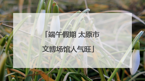 端午假期 太原市文博场馆人气旺