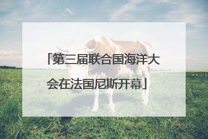 第三届联合国海洋大会在法国尼斯开幕