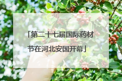 第二十七届国际药材节在河北安国开幕