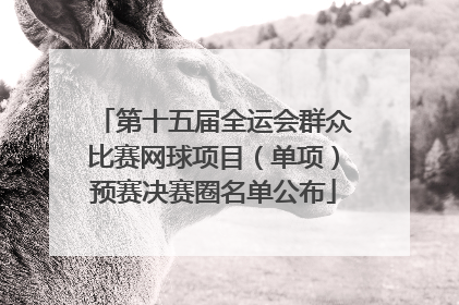 第十五届全运会群众比赛网球项目（单项）预赛决赛圈名单公布