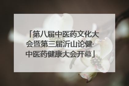 第八届中医药文化大会暨第三届沂山论健·中医药健康大会开幕