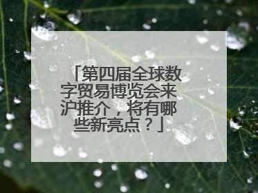 第四届全球数字贸易博览会来沪推介，将有哪些新亮点？
