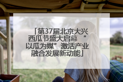 第37届北京大兴西瓜节盛大启幕 “以瓜为媒”激活产业融合发展新动能