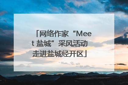 网络作家“Meet 盐城”采风活动走进盐城经开区