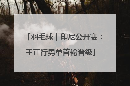 羽毛球｜印尼公开赛：王正行男单首轮晋级