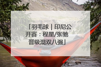羽毛球｜印尼公开赛：程星/张驰晋级混双八强