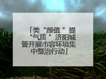 美“颜值 ”提“气质 ”济阳城管开展市容环境集中整治行动