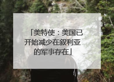 美特使：美国已开始减少在叙利亚的军事存在