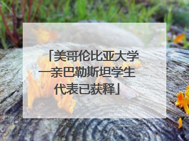 美哥伦比亚大学一亲巴勒斯坦学生代表已获释