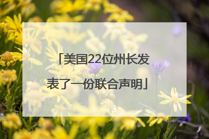 美国22位州长发表了一份联合声明