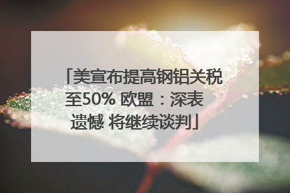 美宣布提高钢铝关税至50% 欧盟：深表遗憾 将继续谈判