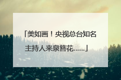 美如画！央视总台知名主持人来泉簪花……