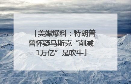 美媒爆料：特朗普曾怀疑马斯克“削减1万亿”是吹牛