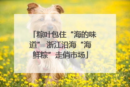 粽叶包住“海的味道” 浙江沿海“海鲜粽”走俏市场