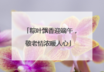 粽叶飘香迎端午，敬老情浓暖人心