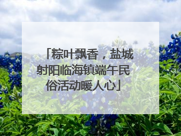 粽叶飘香，盐城射阳临海镇端午民俗活动暖人心