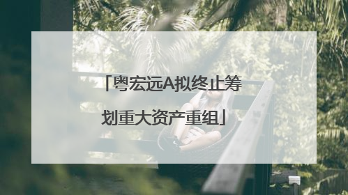 粤宏远A拟终止筹划重大资产重组