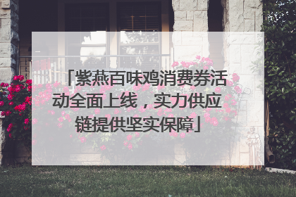 紫燕百味鸡消费券活动全面上线，实力供应链提供坚实保障