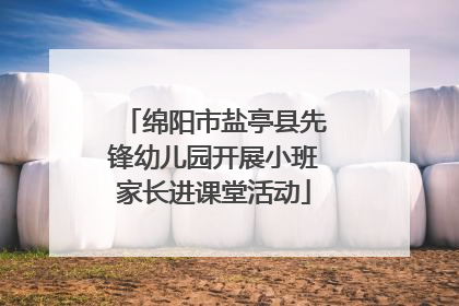 绵阳市盐亭县先锋幼儿园开展小班家长进课堂活动