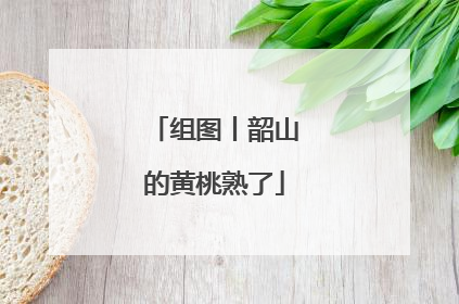 组图丨韶山的黄桃熟了