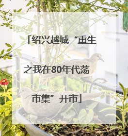 绍兴越城“重生之我在80年代荡市集”开市
