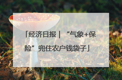经济日报｜“气象+保险”兜住农户钱袋子