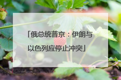 俄总统普京：伊朗与以色列应停止冲突
