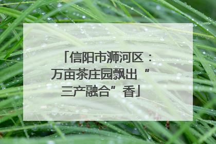 信阳市浉河区：万亩茶庄园飘出“三产融合”香