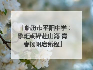 临汾市平阳中学：擎炬砺锋赴山海 青春扬帆启新程