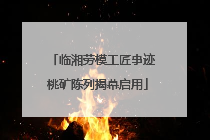 临湘劳模工匠事迹桃矿陈列揭幕启用