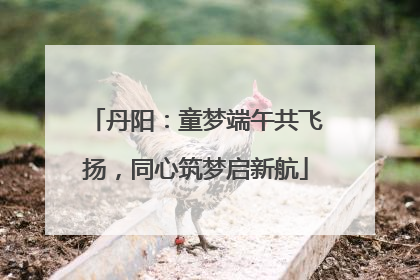 丹阳：童梦端午共飞扬，同心筑梦启新航