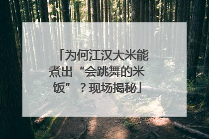 为何江汉大米能煮出“会跳舞的米饭”？现场揭秘