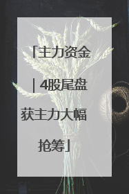 主力资金｜4股尾盘获主力大幅抢筹