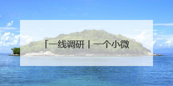 一线调研丨一个小微企业的“冠军”之路