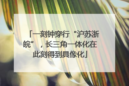 一刻钟穿行“沪苏浙皖”，长三角一体化在此刻得到具像化