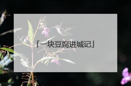 一块豆腐进城记